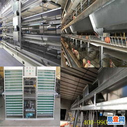 中区专业机械设备安装服务 高效、安全、可靠